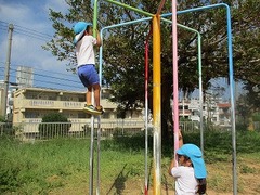 IMG_6317