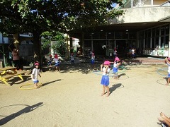 IMG_0181