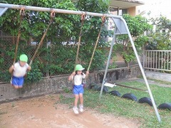 IMG_1616