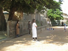 IMG_3517
