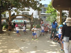 IMG_3531
