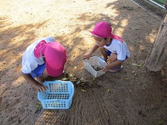 IMG_0076