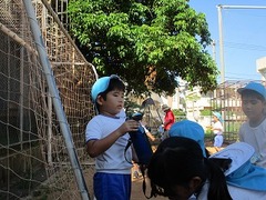 IMG_6054