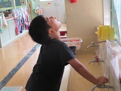 IMG_6138