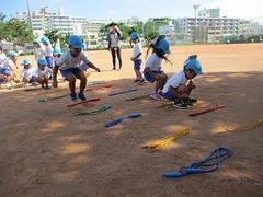 IMG_5952