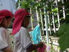 IMG_9731