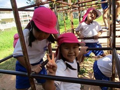IMG_9781