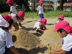 IMG_9811