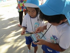 IMG_5231