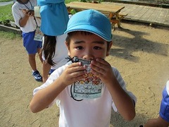 IMG_5240