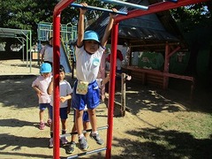 IMG_5329