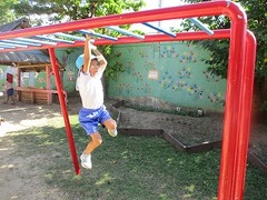 IMG_5341