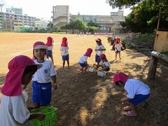 IMG_9555
