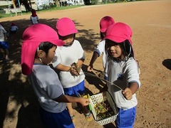 IMG_9561