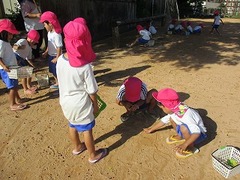 IMG_9562