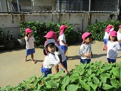 IMG_9565