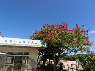 秋の空