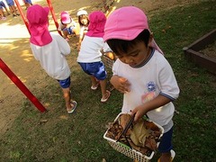 IMG_9319