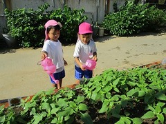 IMG_9328