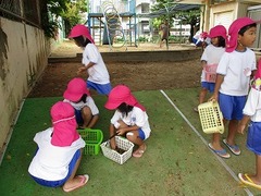 IMG_8920