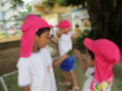 IMG_8921