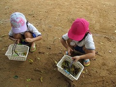 IMG_8923