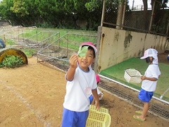 IMG_8926