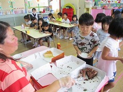IMG_8868