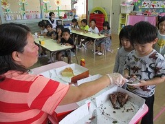 IMG_8869
