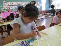 IMG_8872