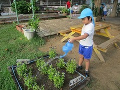 IMG_0955
