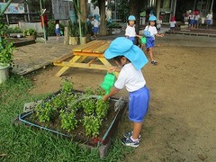IMG_0957