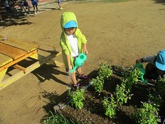 IMG_0959