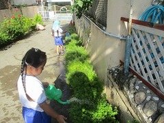 IMG_0962