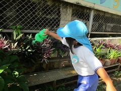 IMG_0965