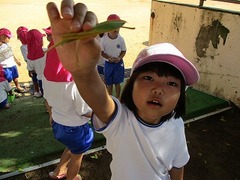 IMG_8680