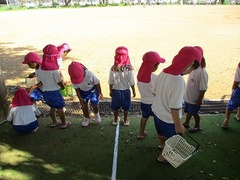 IMG_8681