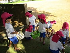 IMG_8682