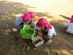 IMG_8691