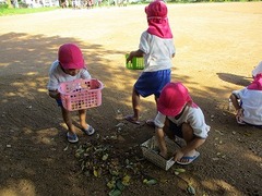 IMG_8693