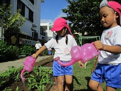 IMG_8701