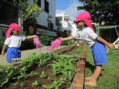 IMG_8704