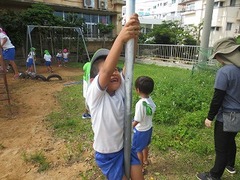 IMG_1317