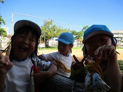 IMG_4266