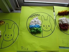 IMG_4337