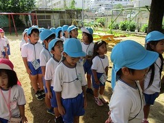 IMG_8584