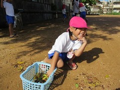 IMG_8590
