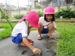 IMG_8638