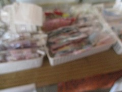 IMG_0865