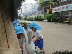 IMG_0868